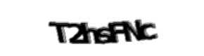Security check image, please type the characters shown